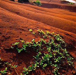 PvP战术FPS游戏《活性物质》Steam页面 首批截图